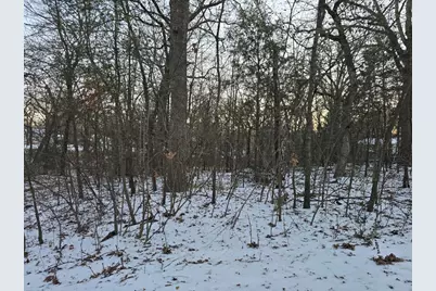 Lot 751 Doe Run Road, Gun Barrel City, TX 75156 - Photo 5