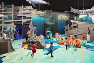 905 Tartane Dr, Anna, TX 75409 - Photo 27