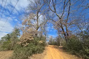 12787 Fm 1002 S, Big Sandy, TX 75755 - Photo 3