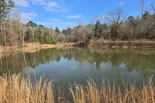 12787 Fm 1002 S, Big Sandy, TX 75755 - Photo 5