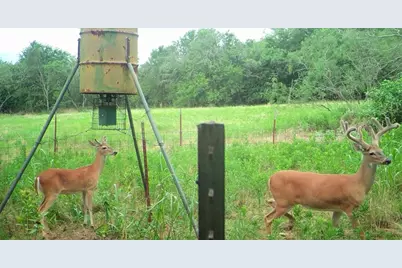 141 County Road 2349, Richland, TX 76681 - Photo 17