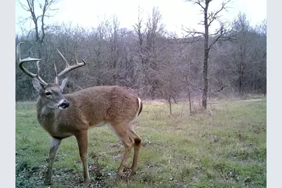 141 County Road 2349, Richland, TX 76681 - Photo 31