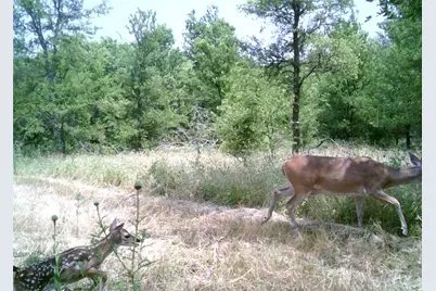 141 County Road 2349, Richland, TX 76681 - Photo 27