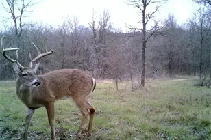 141 County Rd 2349, Richland, TX 76681 - Photo 1