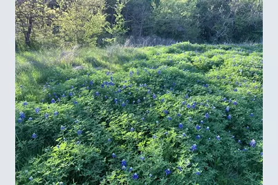 141 County Road 2349, Richland, TX 76681 - Photo 23