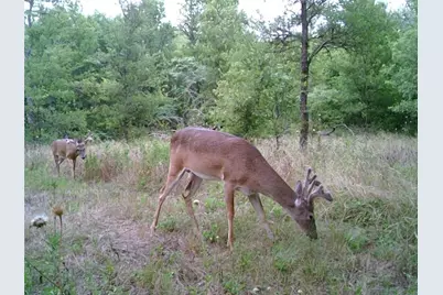 141 County Road 2349, Richland, TX 76681 - Photo 3