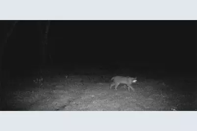 141 County Road 2349, Richland, TX 76681 - Photo 37