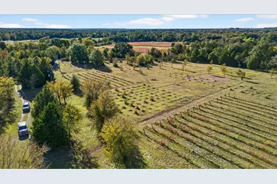 1603 Van Zandt County Road 2908, Eustace, TX 75124 - Photo 29