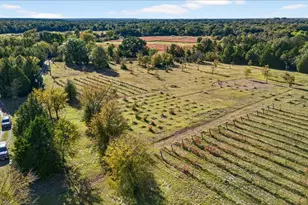 1603 Van Zandt County Road 2908, Eustace, TX 75124 - Photo 29