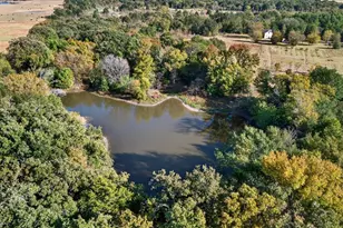 1603 Van Zandt County Road 2908, Eustace, TX 75124 - Photo 31