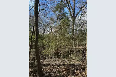 0000 County Road 2324, Como, TX 75431 - Photo 9