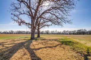 553 Royal Santana Run, Weatherford, TX 76087 - Photo 39