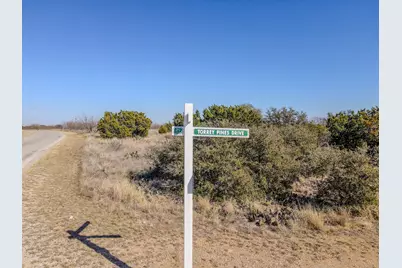 Lot 72 Torrey Pines, Possum Kingdom Lake, TX 76449 - Photo 15