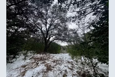 262 Palomino Loop, Whitney, TX 76692 - Photo 11