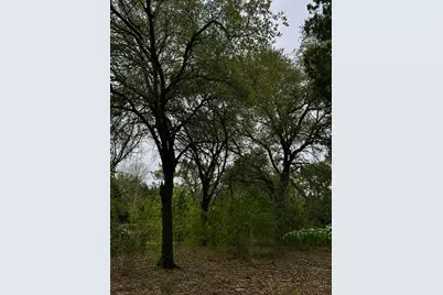 262 Palomino Loop, Whitney, TX 76692 - Photo 5