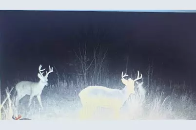 Tbd Hcr 3430, Bynum, TX 76631 - Photo 19