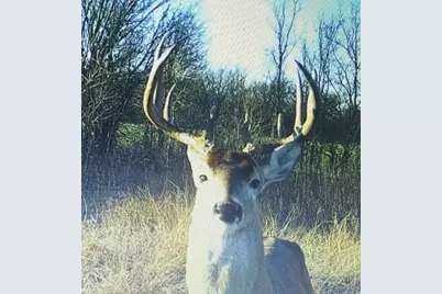 Tbd Hcr 3430, Bynum, TX 76631 - Photo 17