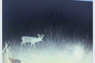 Tbd Hcr 3430, Bynum, TX 76631 - Photo 21