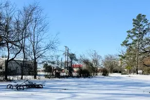 140 Pecan St, Blossom, TX 75416 - Photo 13