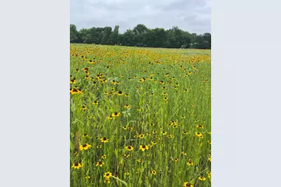 Tbd Cr 3525, Honey Grove, TX 75446 - Photo 3