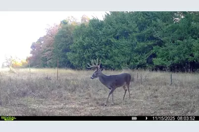 1700 Cr 2770, Honey Grove, TX 75446 - Photo 7