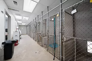 358 E Pecan St, Waxahachie, TX 75165 - Photo 29