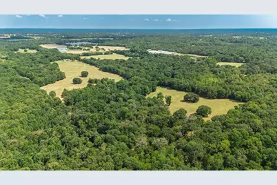 21 Acres Fm 69, Quitman, TX 75783 - Photo 5