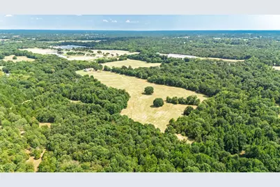 21 Acres Fm 69, Quitman, TX 75783 - Photo 3