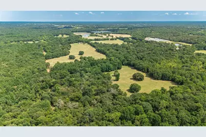 21 Acres Fm 69, Quitman, TX 75783 - Photo 7