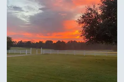 10100 Fm 1650, Gilmer, TX 75645 - Photo 37