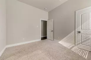 10009 Tanner Mill Dr, McKinney, TX 75072 - Photo 25