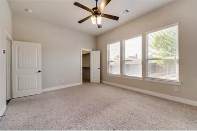10009 Tanner Mill Drive, McKinney, TX 75072 - Photo 29
