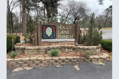 197 Holly Hill Circle #223G, Holly Lake Ranch, TX 75765 - Photo 29