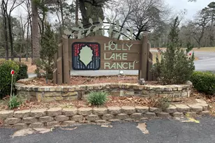 197 Holly Hill Cir, Holly Lake Ranch, TX 75765 - Photo 29