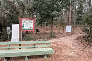 197 Holly Hill Cir, Holly Lake Ranch, TX 75765 - Photo 35