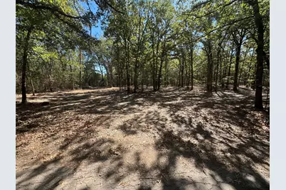 179 Rs County Road 2572, Alba, TX 75410 - Photo 5