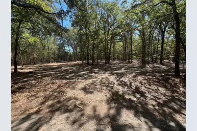 179 Rs County Road 2572, Alba, TX 75410 - Photo 1