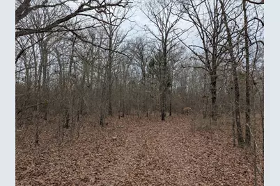 179 Rs County Road 2572, Alba, TX 75410 - Photo 7