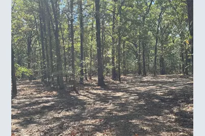 179 Rs County Road 2572, Alba, TX 75410 - Photo 3