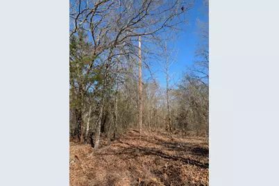 179 Rs County Road 2572, Alba, TX 75410 - Photo 9