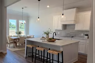 317 Skeen Peak, Springtown, TX 76082 - Photo 9