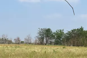 Tbd County Line, Commerce, TX 75428 - Photo 1