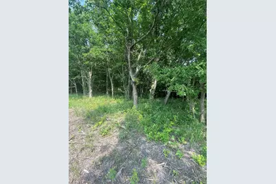 Tbd County Line, Commerce, TX 75428 - Photo 3