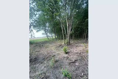 Tbd County Line, Commerce, TX 75428 - Photo 7