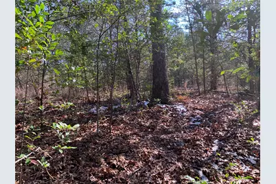 911 W Cayuga Drive, Athens, TX 75751 - Photo 7