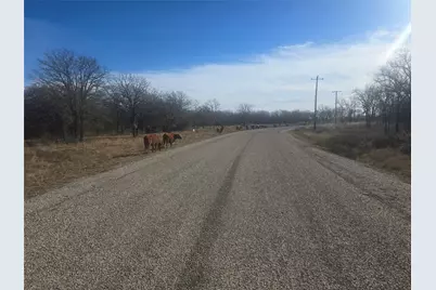 30 Oasis Ct Court, Perrin, TX 76449 - Photo 3