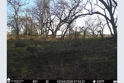 0 Lcr 412, Groesbeck, TX 76642 - Photo 19