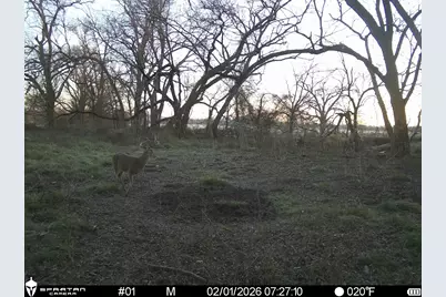 0 Lcr 412, Groesbeck, TX 76642 - Photo 9