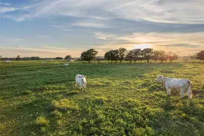 Tbd Hog Town Road Road, Collinsville, TX 76233 - Photo 15