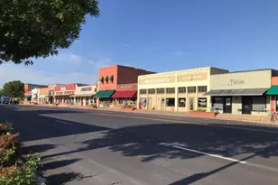 203 W Kimball St, Mansfield, TX 76063 - Photo 33